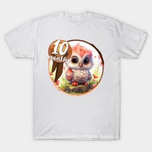 Baby - 10 months too T-Shirt